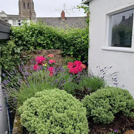 Roche's Terrace Wexford
